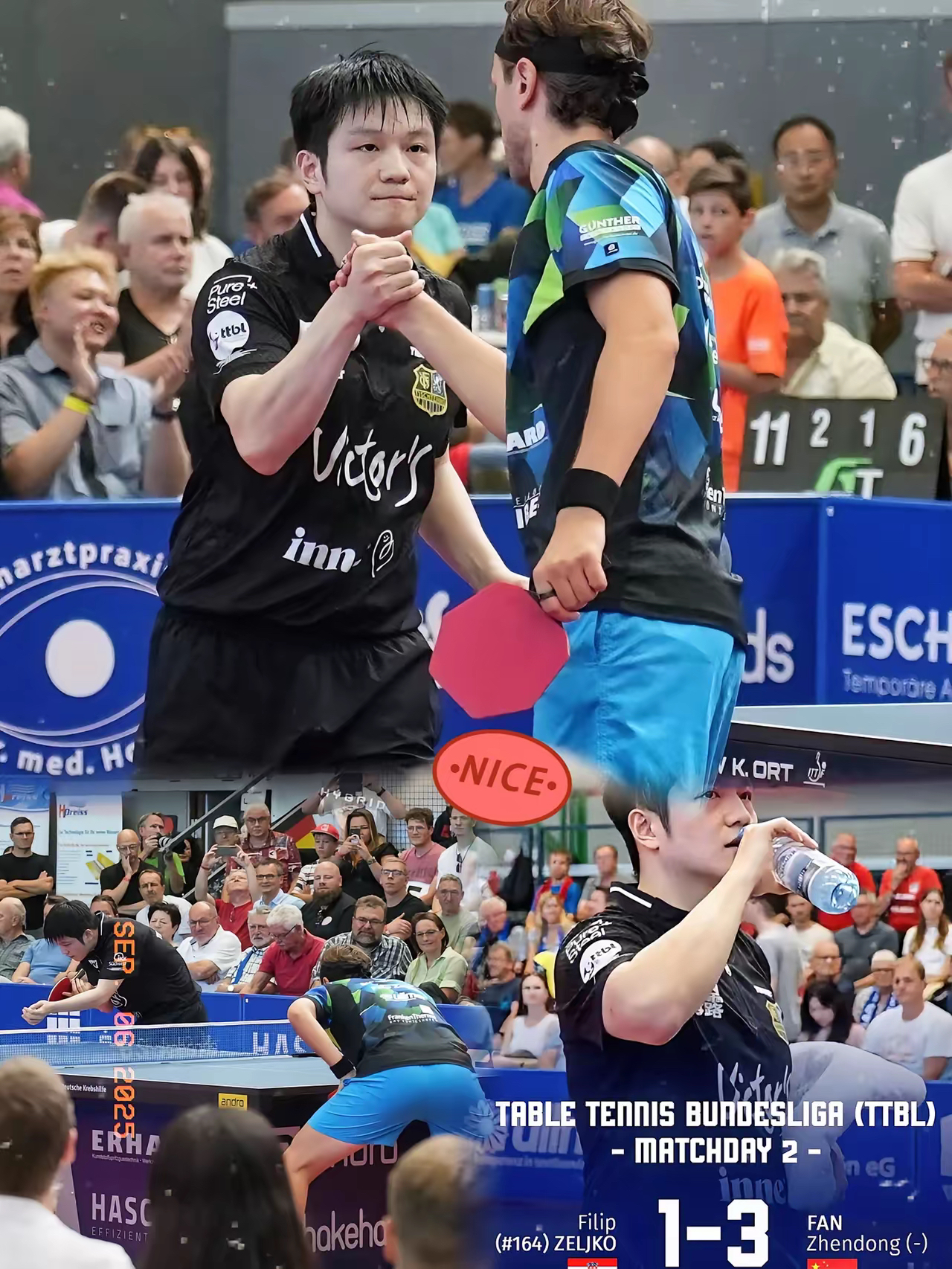 爱游戏ayx体育app -苦难辉煌纪录片